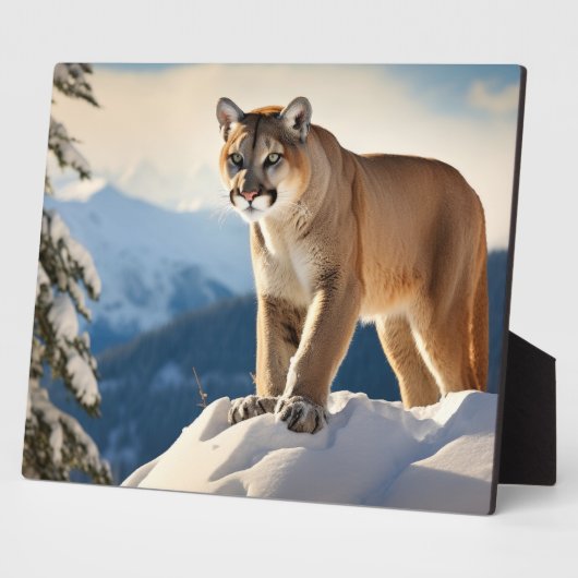 Foto Plaque-Mountain Lion Fotoplaat (Zijkant)