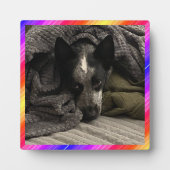 Foto Plaque Neon Border HAMbWG Fotoplaat (Voorkant)
