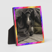 Foto Plaque Neon Border HAMbWG Fotoplaat (Voorkant)