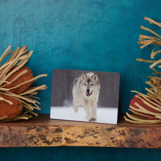 Foto Plaque-Wolf Plaque Fotoplaat (Zijkant)