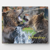 Foto Plaque-Yellowstone Beren Plaque Fotoplaat (Voorkant)