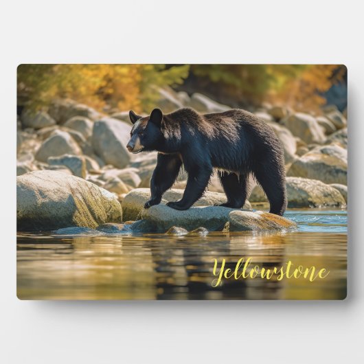 Foto: Plaque-Yellowstone Black Beer Fotoplaat (voorkant)