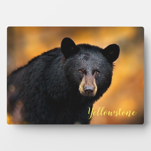 Foto: Plaque-Yellowstone Black Beer Fotoplaat (voorkant)