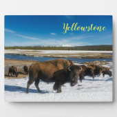 Foto Plaque-Yellowstone Buffalo Fotoplaat (Voorkant)
