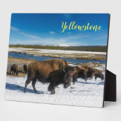 Foto Plaque-Yellowstone Buffalo Fotoplaat (Zijkant)