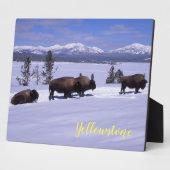Foto Plaque-Yellowstone Buffalo Fotoplaat (Zijkant)