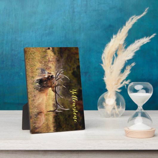 Foto Plaque-Yellowstone Elk Fotoplaat (Zijkant)