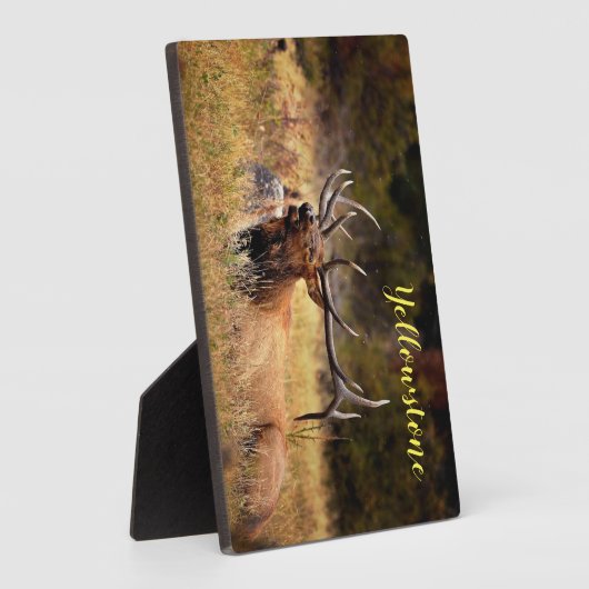 Foto Plaque-Yellowstone Elk Fotoplaat (Zijkant)