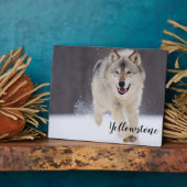 Foto Plaque-Yellowstone Wolf Fotoplaat (Zijkant)