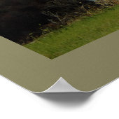 Foto Pocono Poster (Hoek)