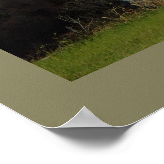 Foto Pocono Poster (Hoek)