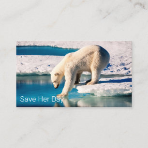 Foto Polar Beer Blue White Natuur Visitekaartje