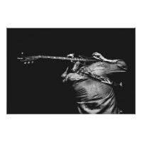 Foto poster guitar held zwart-wit