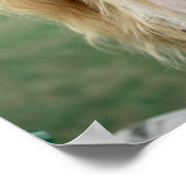 Foto Poster Portret Afstuderen Trouwen (Hoek)