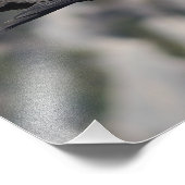 Foto/poster van de fauna foto afdruk (Hoek)