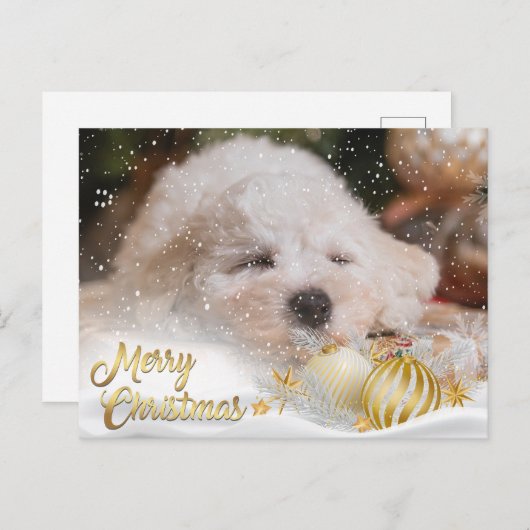 Foto Prettig kerstfeest Sneeuw Overlay Budget Goud Feestdagenkaart (Voorkant / Achterkant)