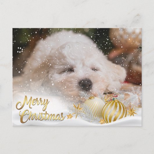 Foto Prettig kerstfeest Sneeuw Overlay Budget Goud Feestdagenkaart (Voorkant)