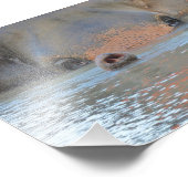 Foto prints: Wildlife en Natuur Fotografie Foto Afdruk (Hoek)