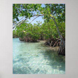 Foto Puerto Rico Poster