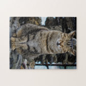Foto Puzzle - Cat in Cinque Terre, Italië Legpuzzel (Horizontaal)