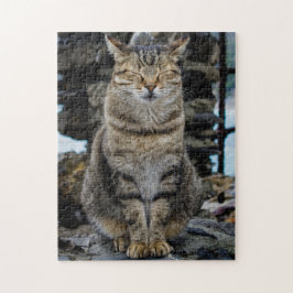 Foto Puzzle - Cat in Cinque Terre, Italië Legpuzzel