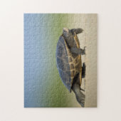 Foto Puzzle: schildpad / amfibisch / Reptile Close Legpuzzel (Verticaal)