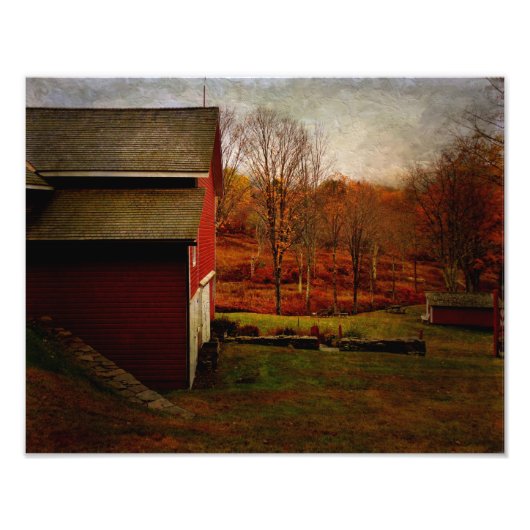 Foto-Red Barn Resting Foto Afdruk (Voorkant)