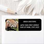 Foto: Red panda, Animal 0530. Etiket (Insitu)