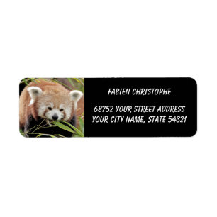 Foto: Red panda, Animal 0530. Etiket