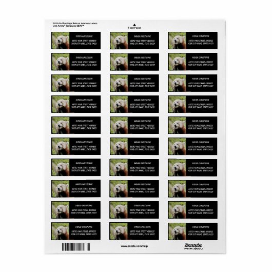 Foto: Red panda, Animal 0531. Etiket (Full Sheet)