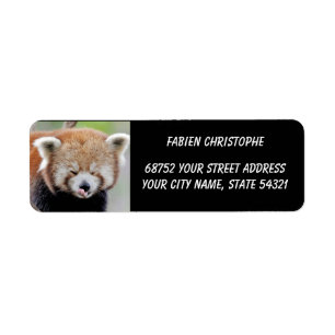 Foto: Red panda, Animal 0532. Etiket