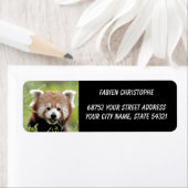 Foto: Red panda, Animal 0533. Etiket (Insitu)