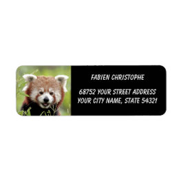 Foto: Red panda, Animal 0533. Etiket