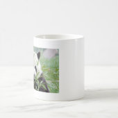 Foto reus panda, animal 0004. koffiemok (Center)