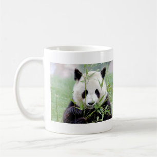 Foto reus panda, animal 0004. koffiemok