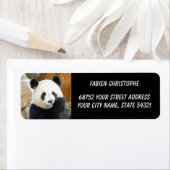 Foto: reuzenpanda, Animal 0344. Etiket (Insitu)