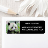 Foto: reuzenpanda, Animal 0345. Etiket (Insitu)