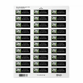 Foto: reuzenpanda, Animal 0345. Etiket (Full Sheet)