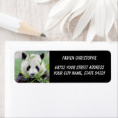 Foto: reuzenpanda, Animal 0346. Etiket (Insitu)