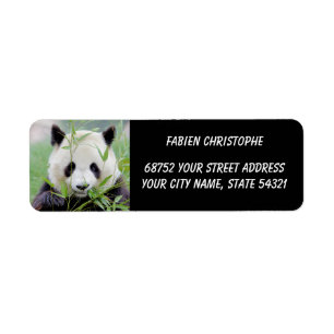Foto: reuzenpanda, Animal 0346. Etiket