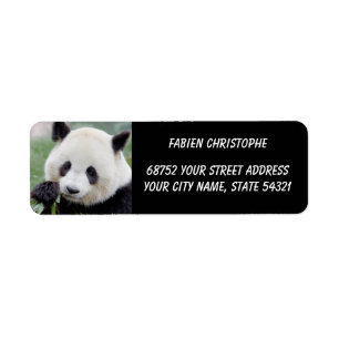 Foto: reuzenpanda, Animal 0348. Etiket