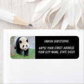 Foto: reuzenpanda, dieren 0349. etiket (Insitu)