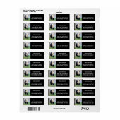 Foto: reuzenpanda, dieren 0349. etiket (Full Sheet)