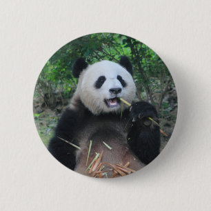Foto Reuzenpanda Ronde Button 5,7 Cm