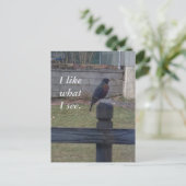 Foto Robin Zittend op Post Rail Briefkaarten (Staand voorkant)
