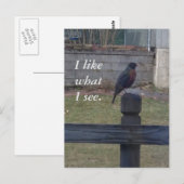 Foto Robin Zittend op Post Rail Briefkaarten (Voorkant / Achterkant)