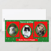 Foto rood en groen pakket 3 feestdagenkaart (Voorkant / Achterkant)