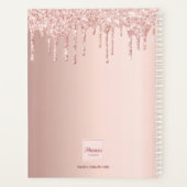 Foto roos gouden glitter druppels blush 2025 planner (Achterkant)