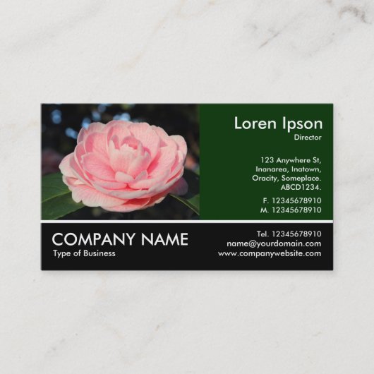 Foto: Roze Camellia Visitekaartje (Voorkant)