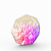 Foto Roze Flowers (Links)